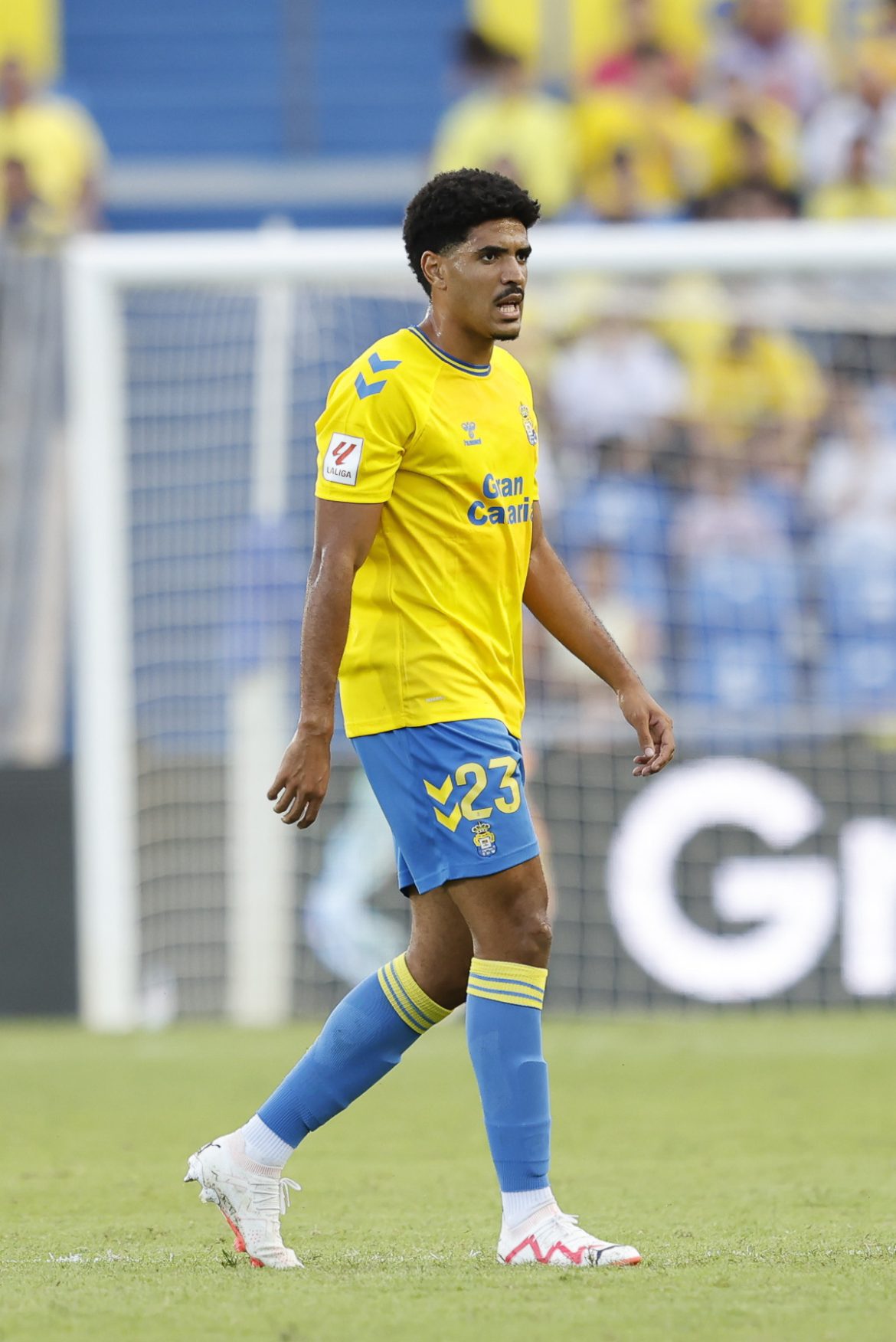 273439b4-a37f-461c-a0f1-3f6111686437