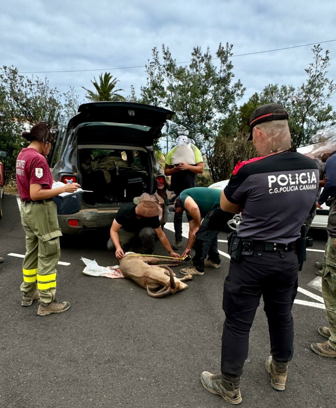 policia-la-palma1