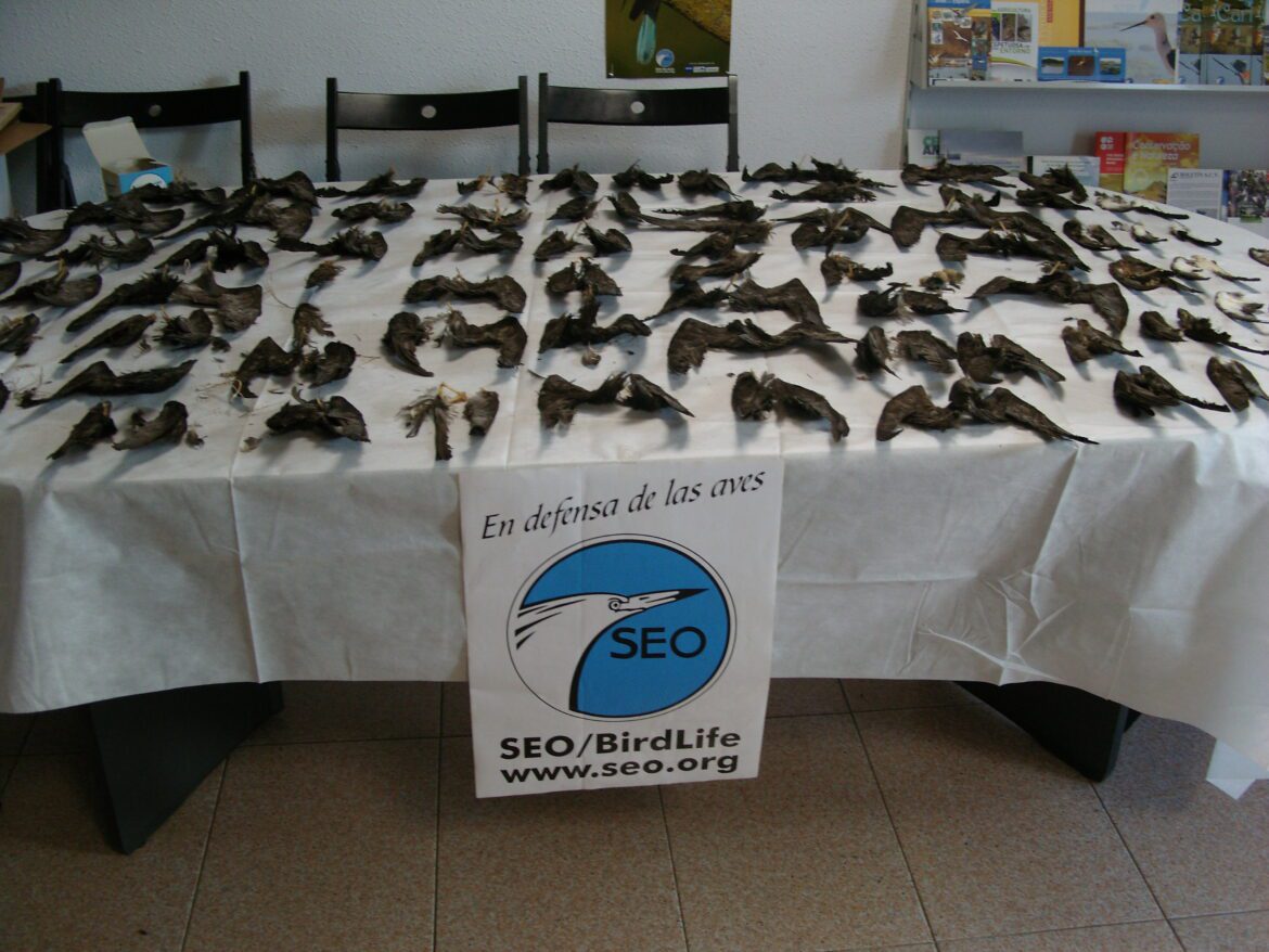 SAMSUNG DIGITAL CAMERA