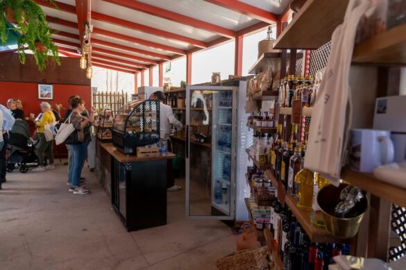 Parte dedicada a la tienda.