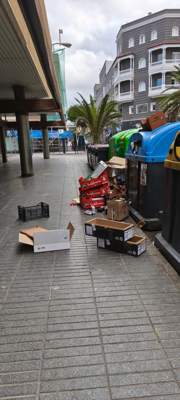 Alegaciones basura LPGC (4)