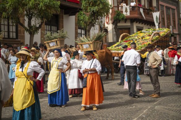 54772271768_f37e94a30f_o