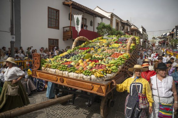 54772368815_7049ee515a_o